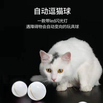 Pet products Pet products Pet cat toy manufacturers wholesale electric cat toy ball cat toy automatic rolling cat toy cat ball full figure