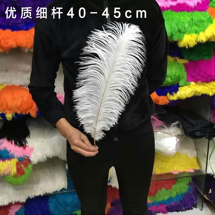 40-45cm鸵鸟羽毛