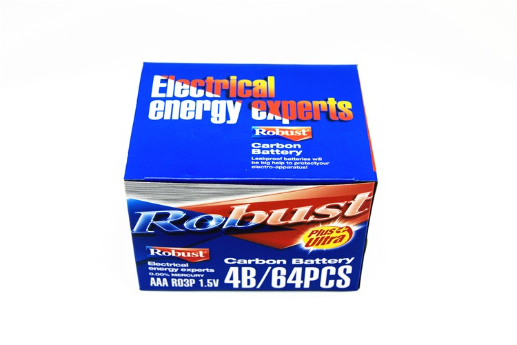 ROBUST 碳性电池 7号七号普通干电池 贴标P型4B挂卡 玩具遥控器详情图6