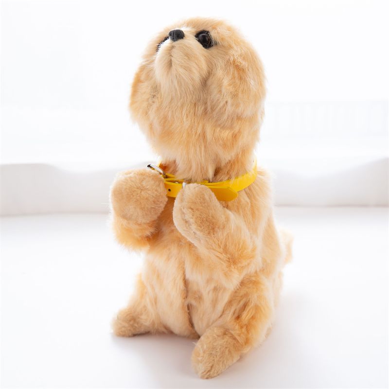 A dog with music wagging its tail, a dog shaking its head, an animal dog details Picture