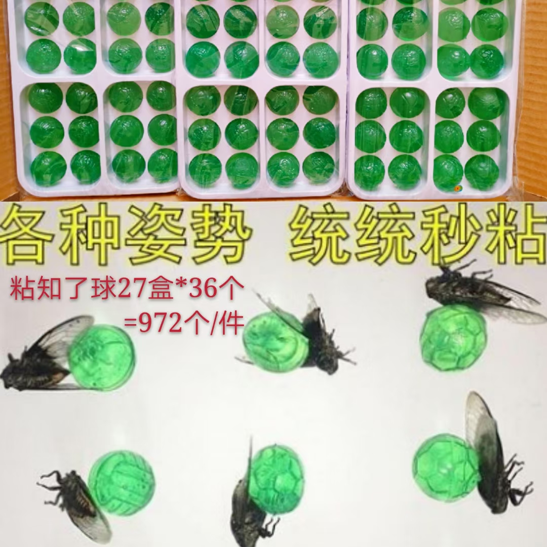 粘知了球，各种姿势，统统秒粘