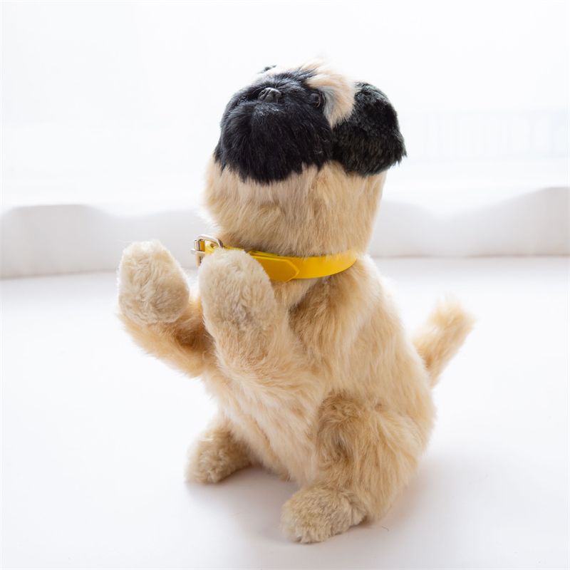 A dog with music wagging its tail, a dog shaking its head, an animal dog Specification image