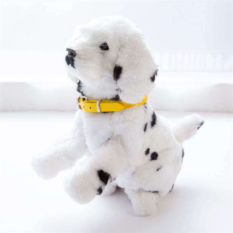 A dog with music wagging its tail, a dog shaking its head, an animal dog Application Scenario