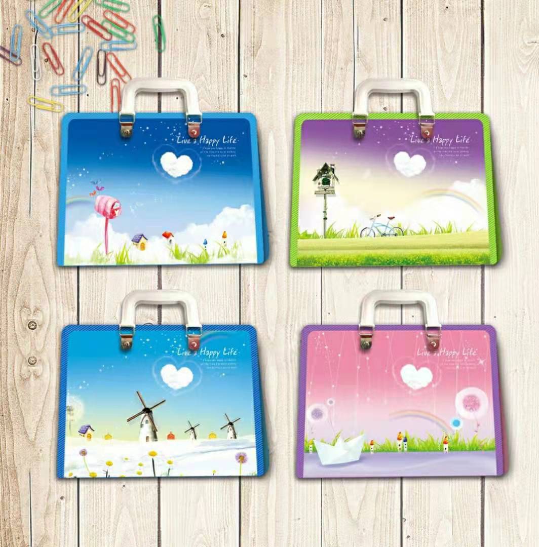 File bag, document bag, transparent bag, organ bag, student bag Item Picture