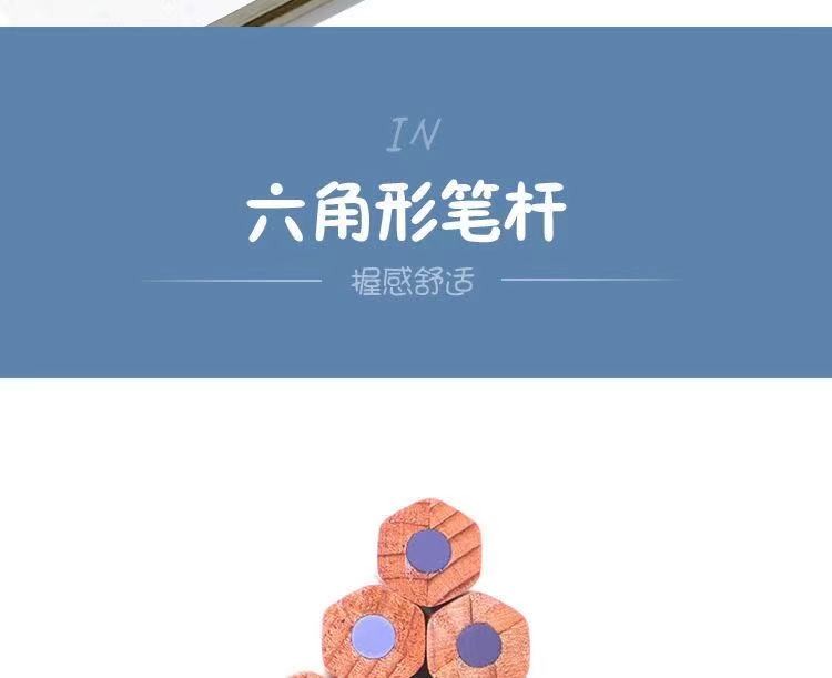 22545辉柏宝迪12色无木可擦彩铅详情图4