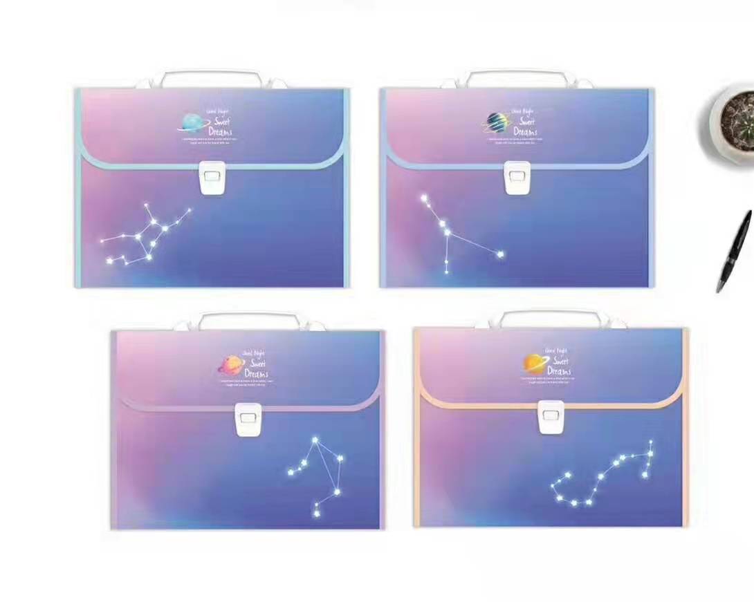 File bag, document bag, transparent bag, organ bag, student bag Specification image