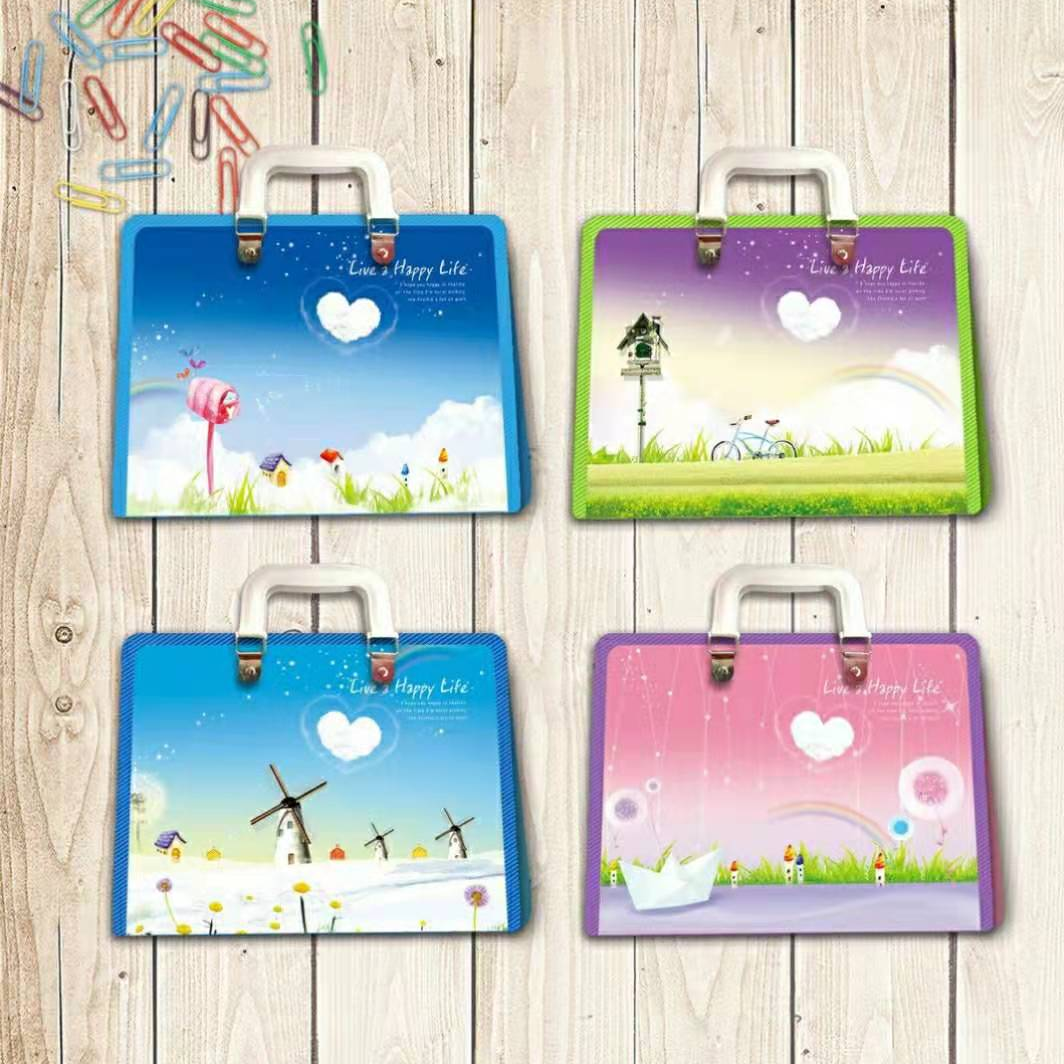 File bag, document bag, transparent bag, organ bag, student bag