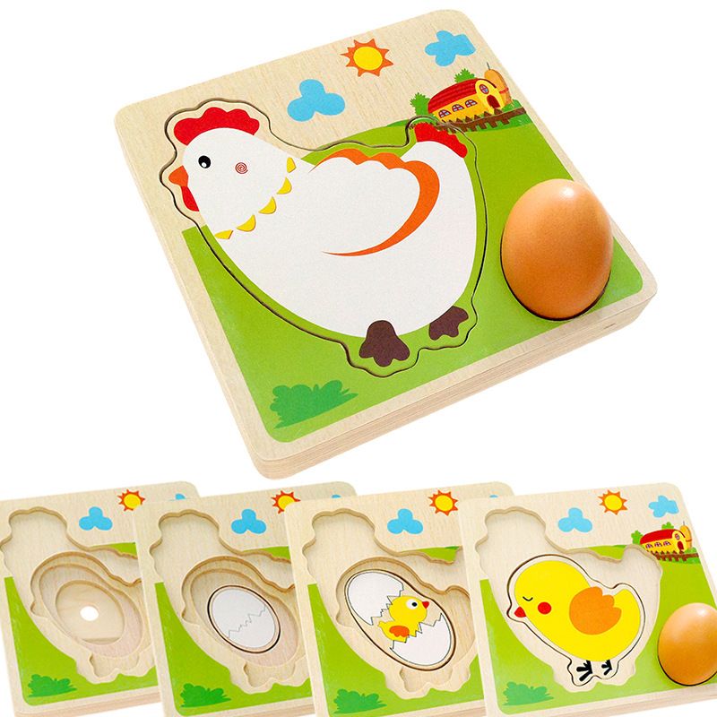 Cross-border children's educational toys early education chick hen growth process jigsaw puzzle kindergarten textbook cognition