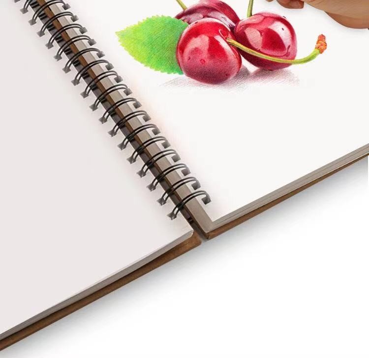 22545辉柏宝迪12色无木可擦彩铅详情图6