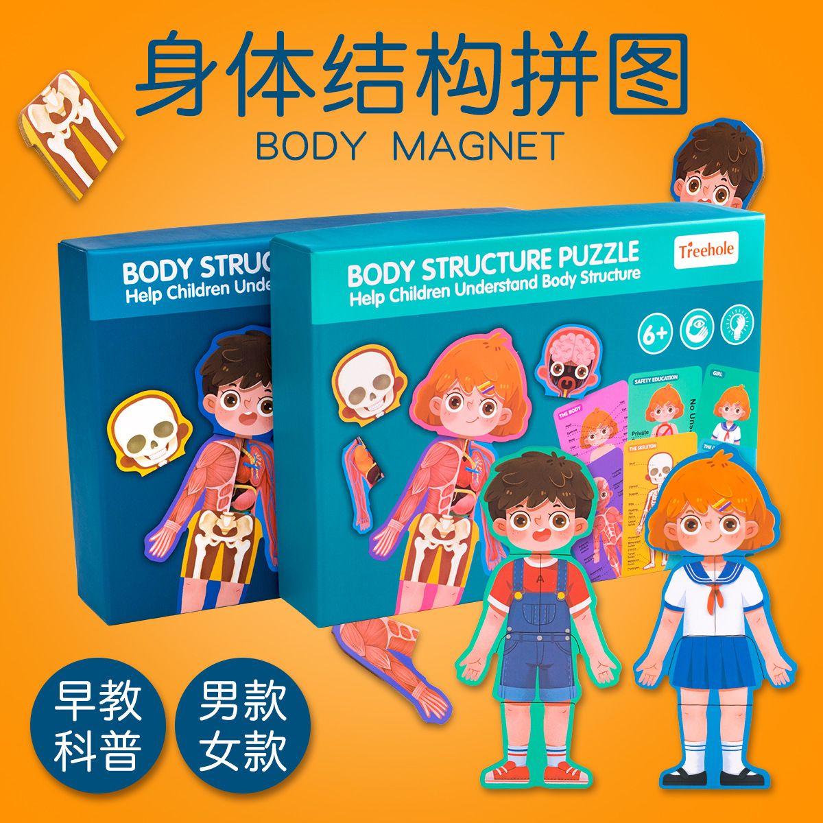 Body structure puzzle 0.42 Human body cognition puzzle Boys and girls children safety education wooden educational toy