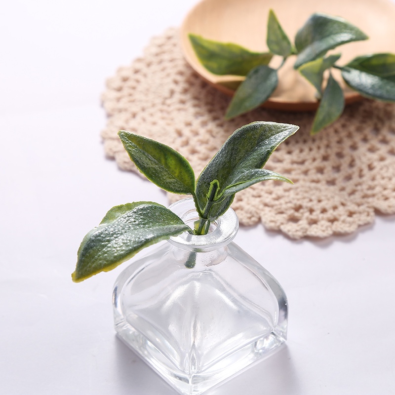 Aquatic plants detail image 1