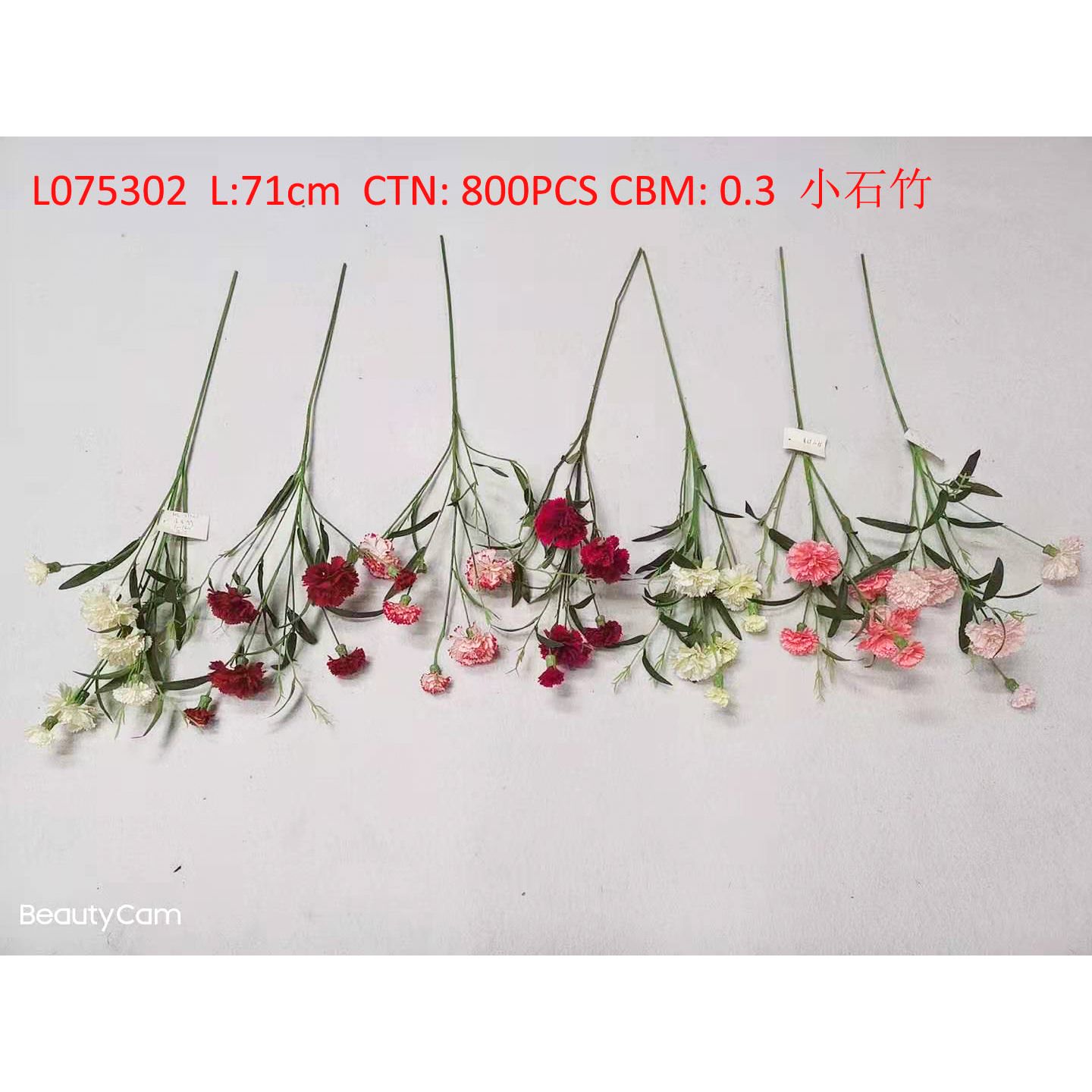 Small carnation L075302