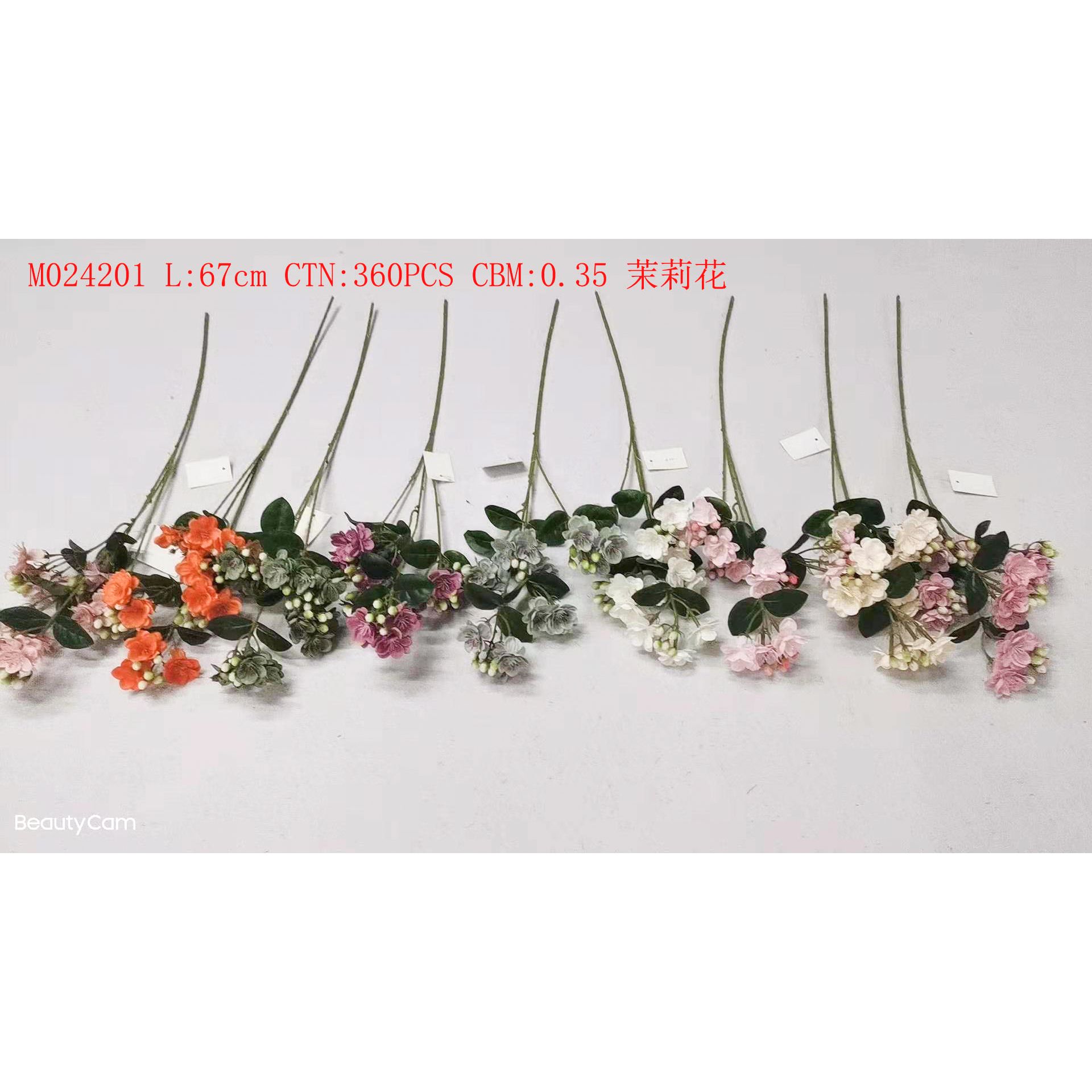 Jasmine M024201