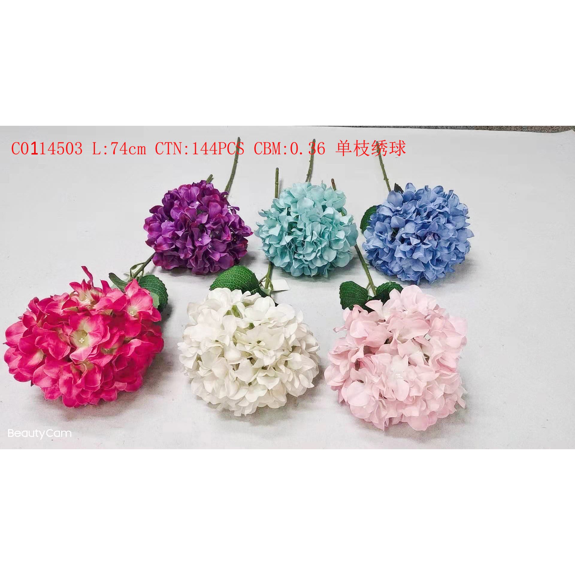Monohydrangea C0114503 thumbnail