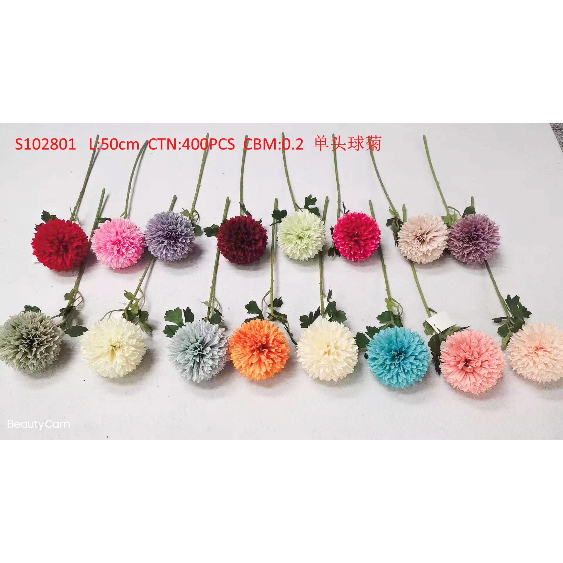 Single headed chrysanthemum thumbnail