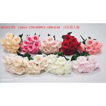 Ten Lovers Rose M1011701