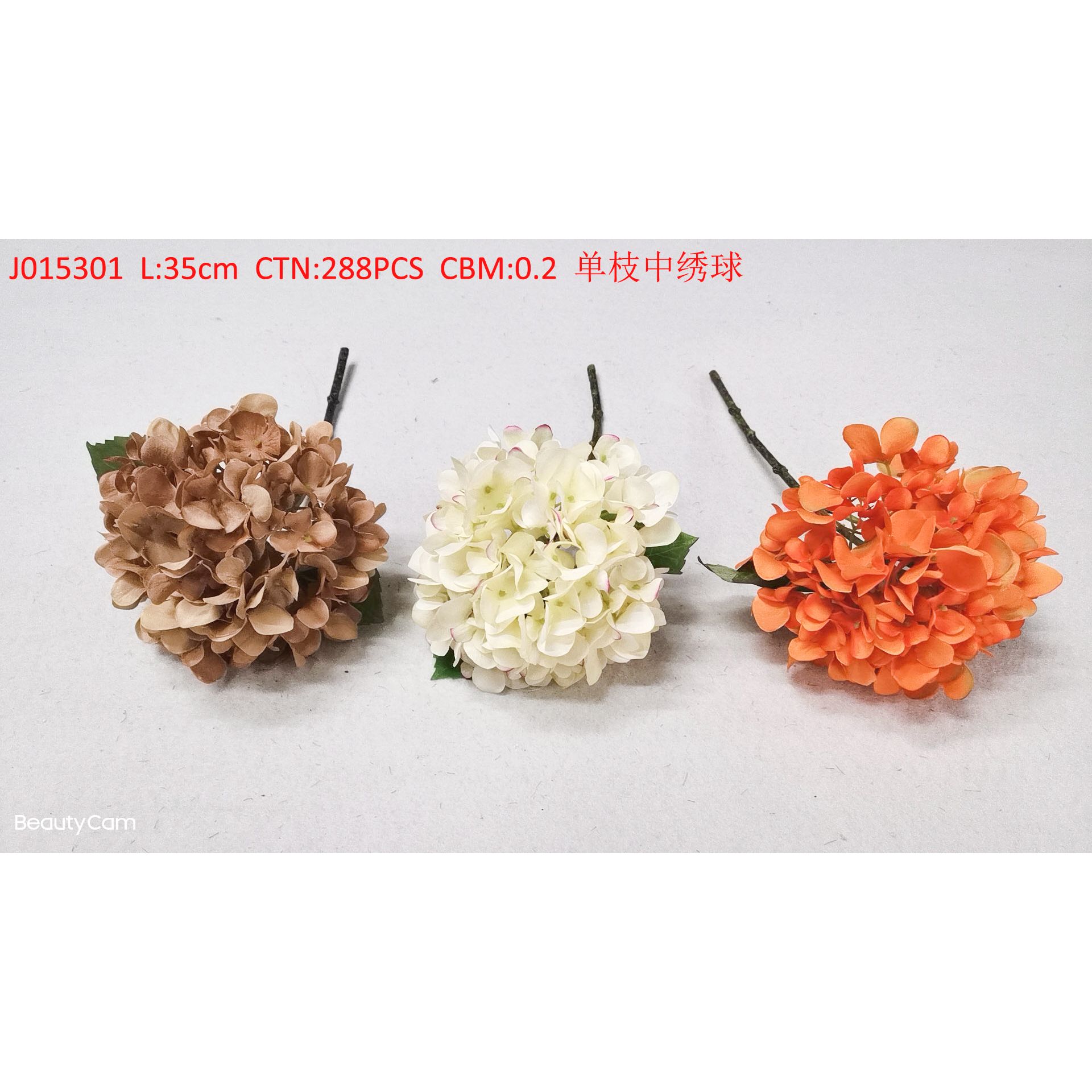 Hydrangea simplex J015301 thumbnail
