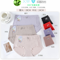 Yiwu good goods Xu Jinxiang 80s super elastic cotton elastic pant leg women's underwear 5526#