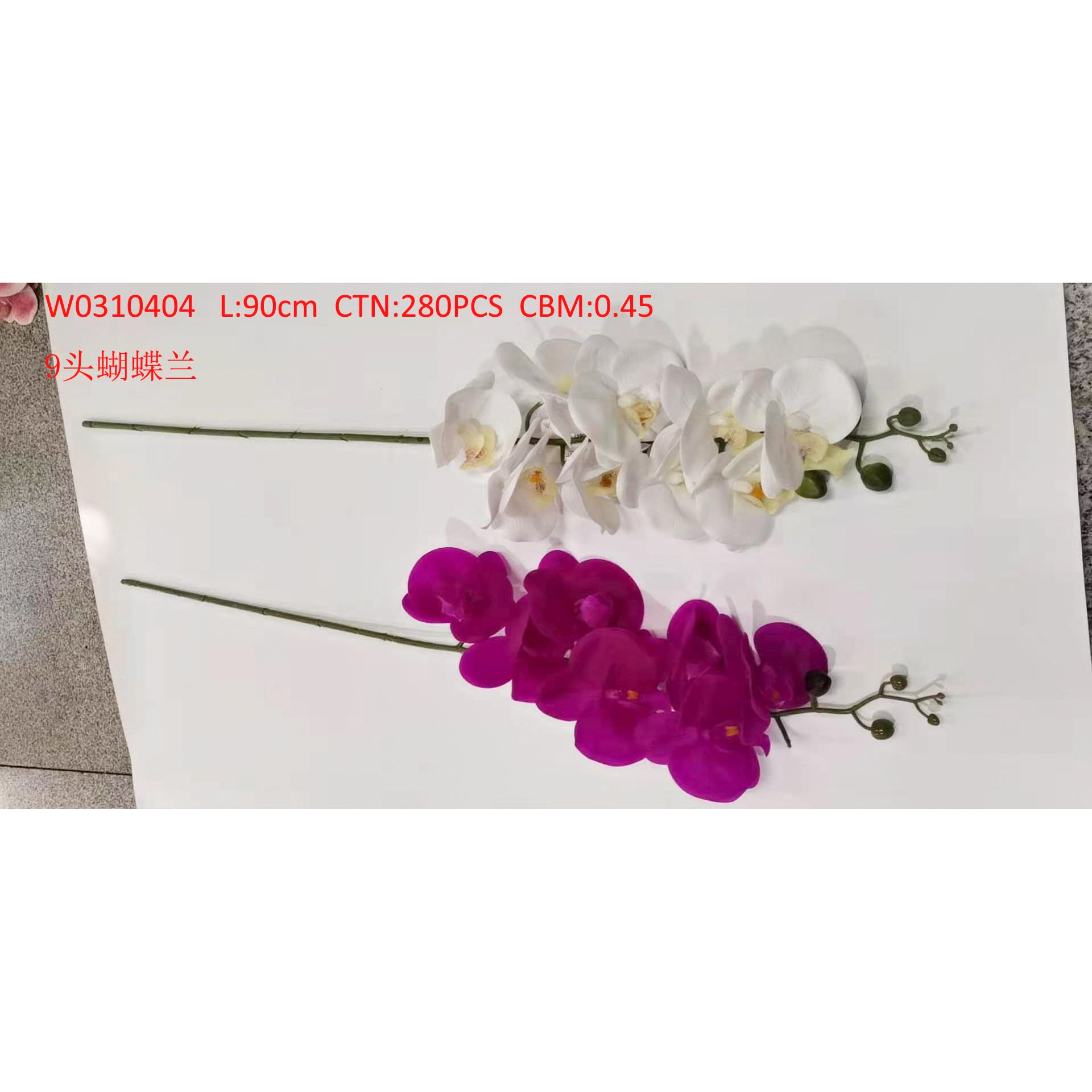 9 Phalaenopsis W0310404 thumbnail