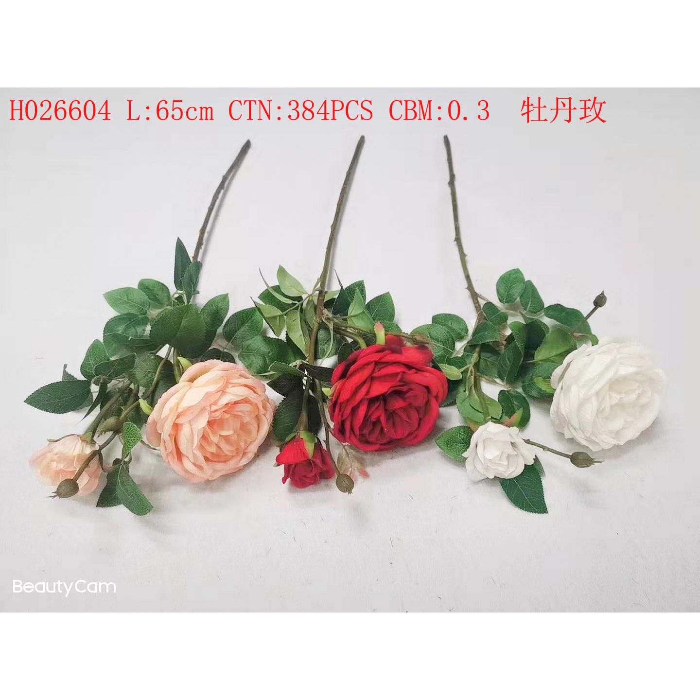 Peony Rose H026604