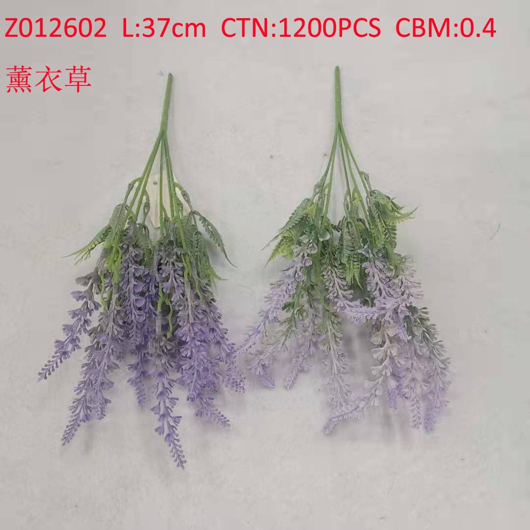 Lavender Z012602