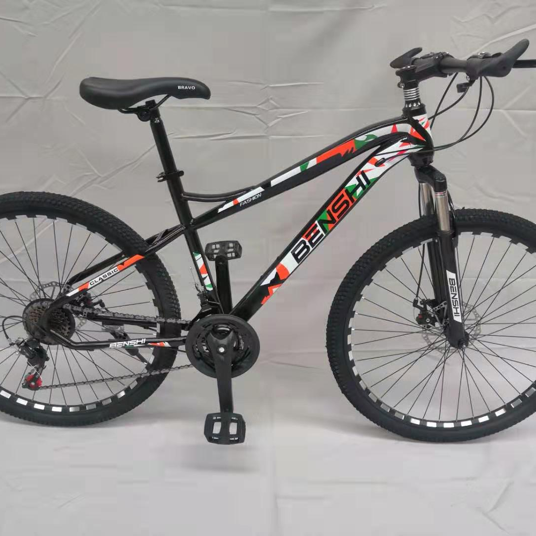 Adult mountain bike WL-203