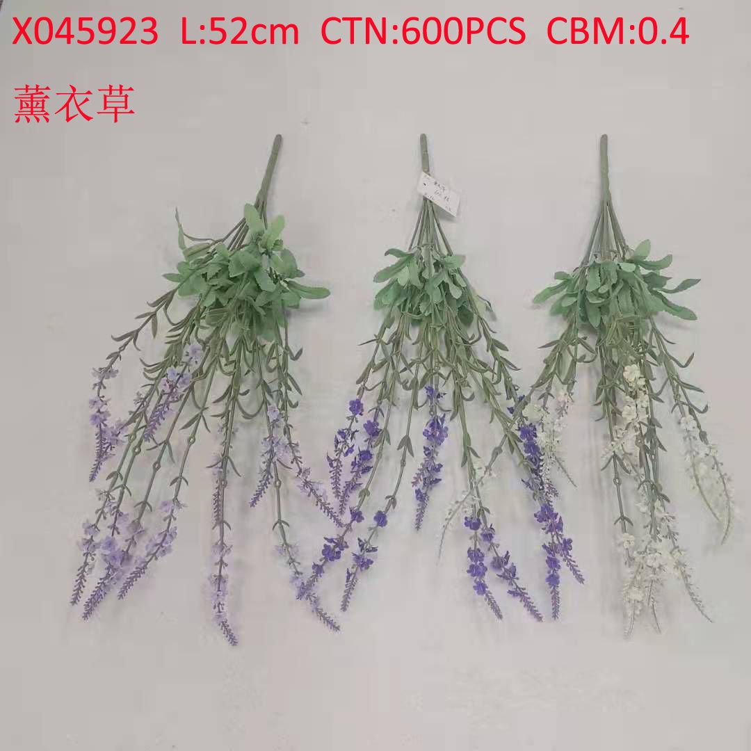Lavender X045923