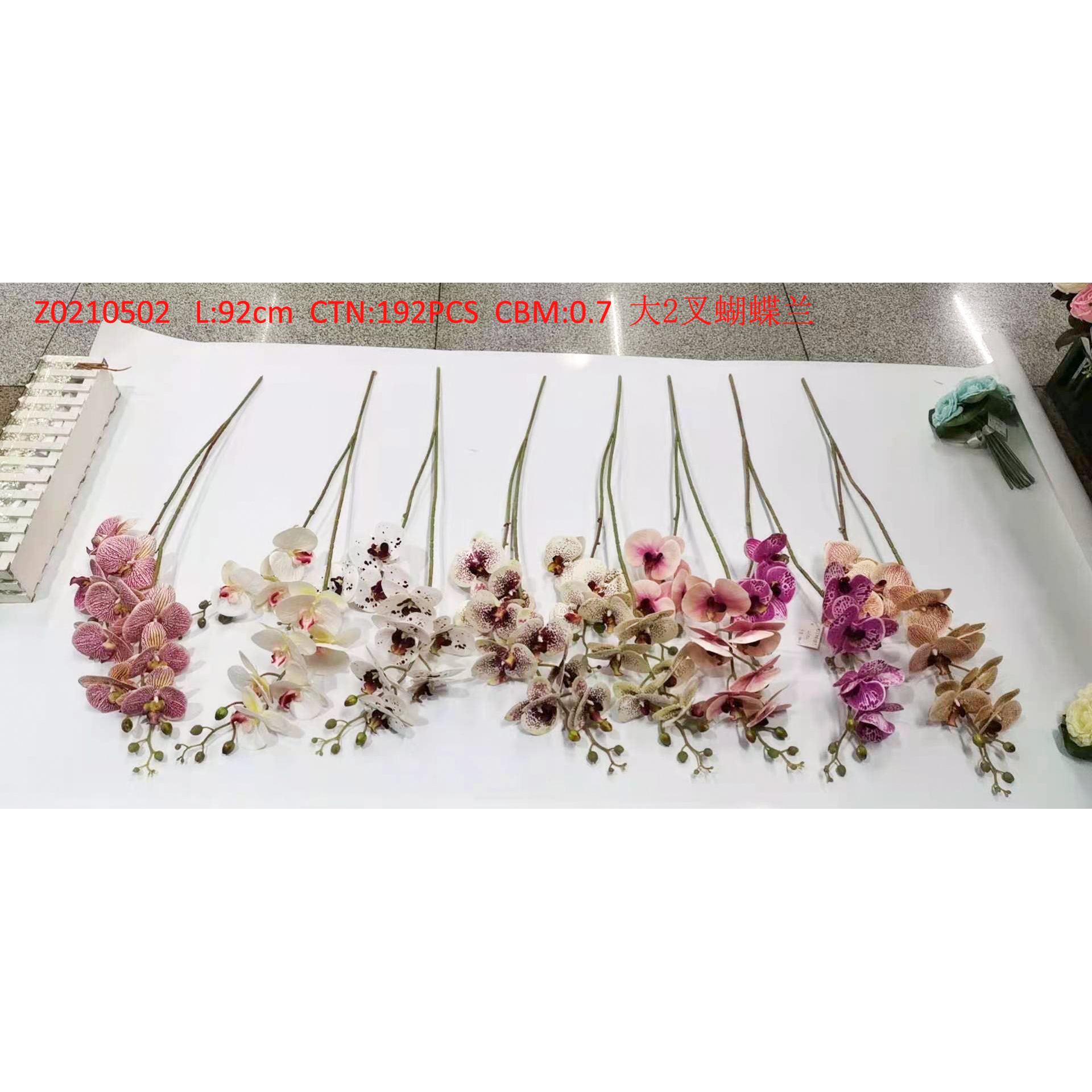 Large 2-prong phalaenopsis Z0210502 thumbnail