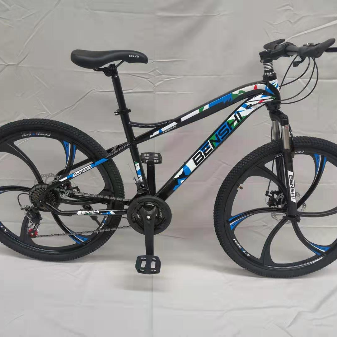 Adult mountain bike WL-205