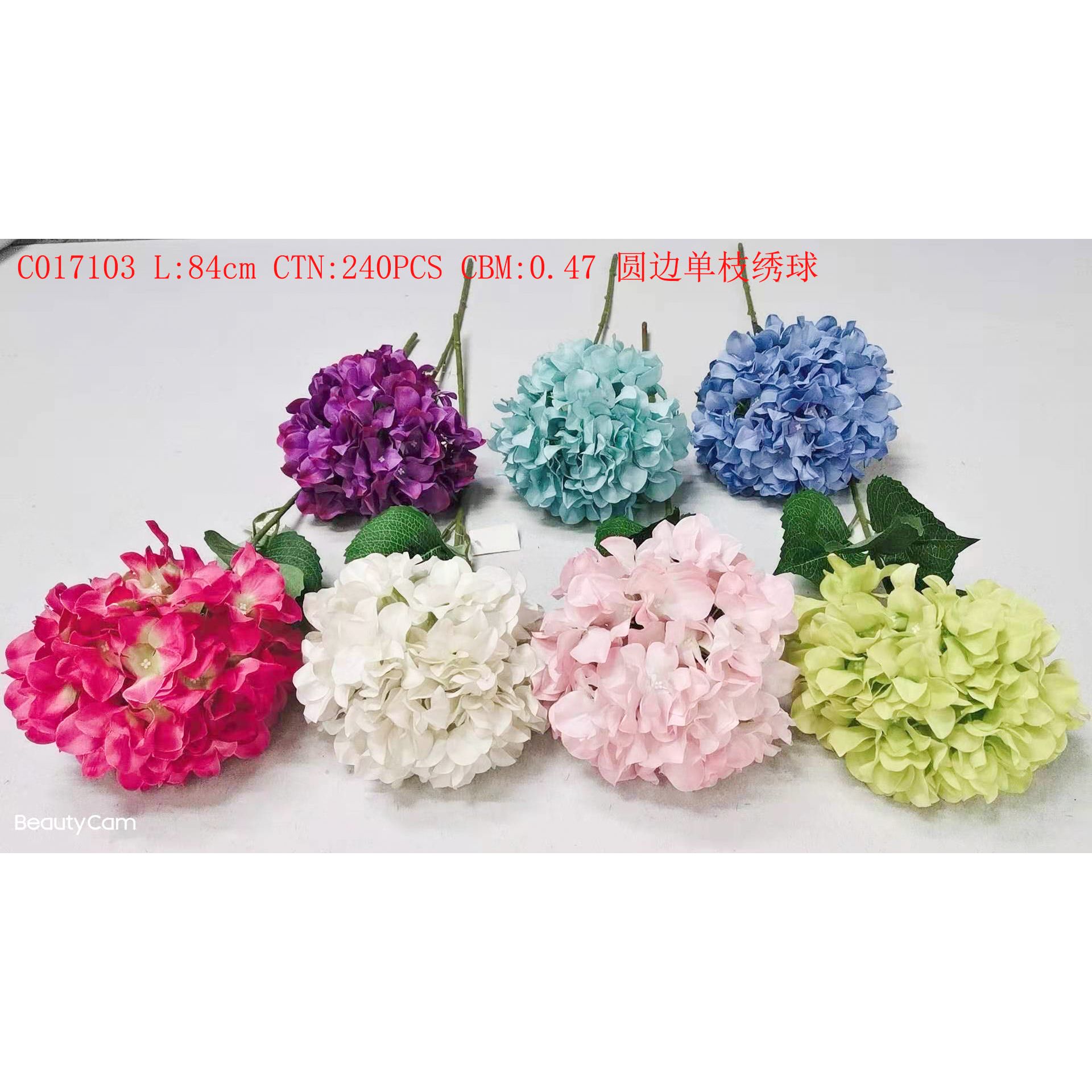 Hydrangea C017103 thumbnail