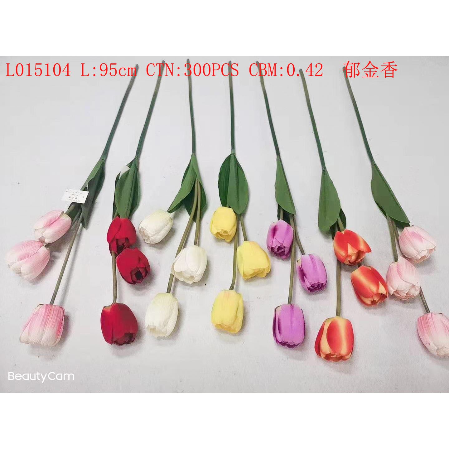 Tulip L015104