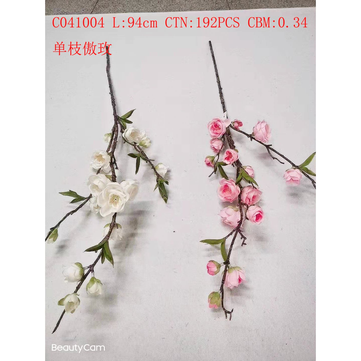 Single proud rose C041004