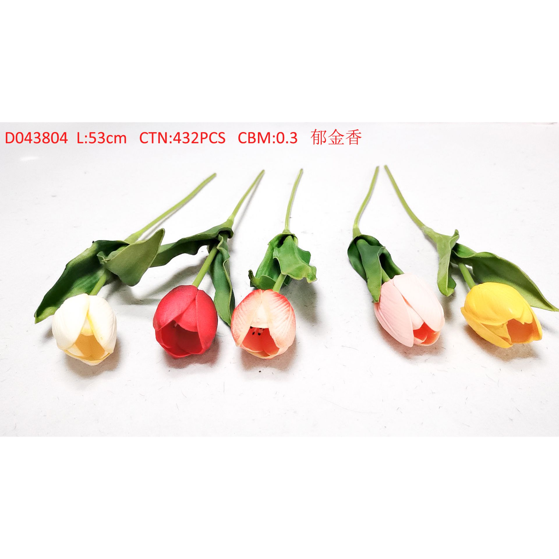 Tulip D043804
