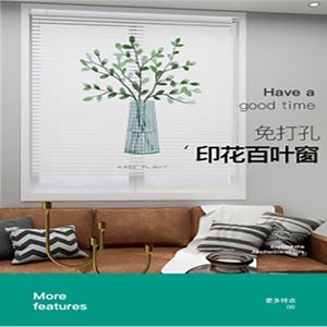 百叶窗帘实物图