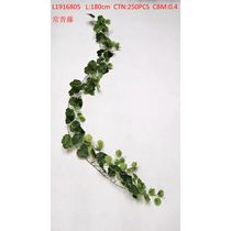 Ivy L1916805
