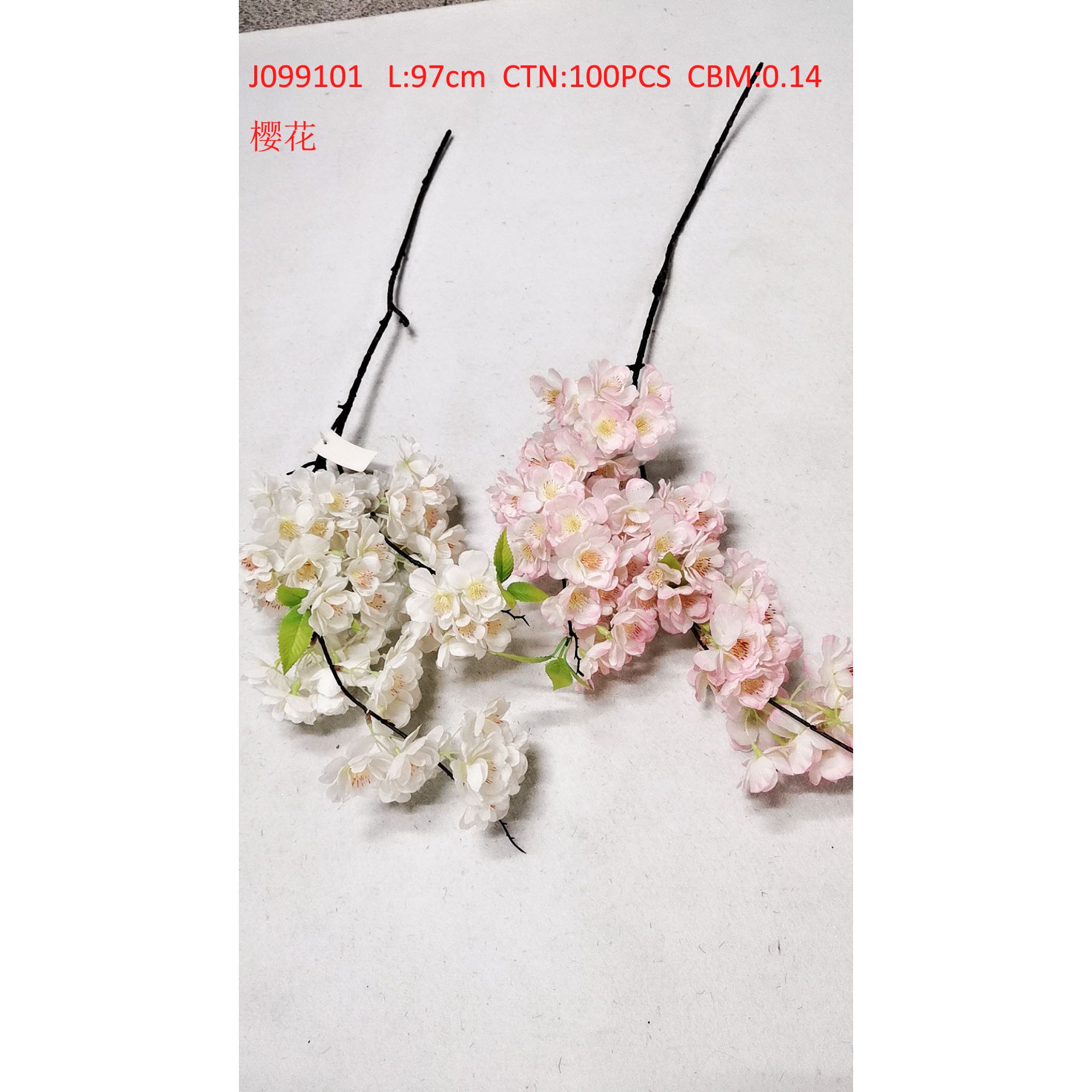 Cherry blossom J099101