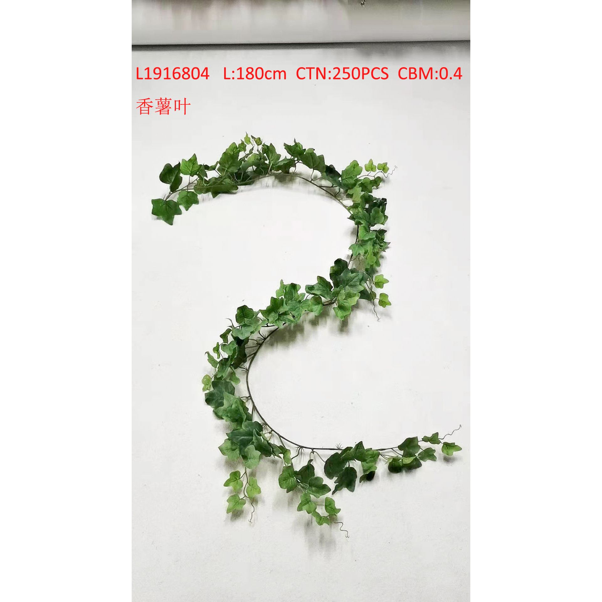 香薯叶 L1916804