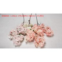 3 cherry blossoms W068503