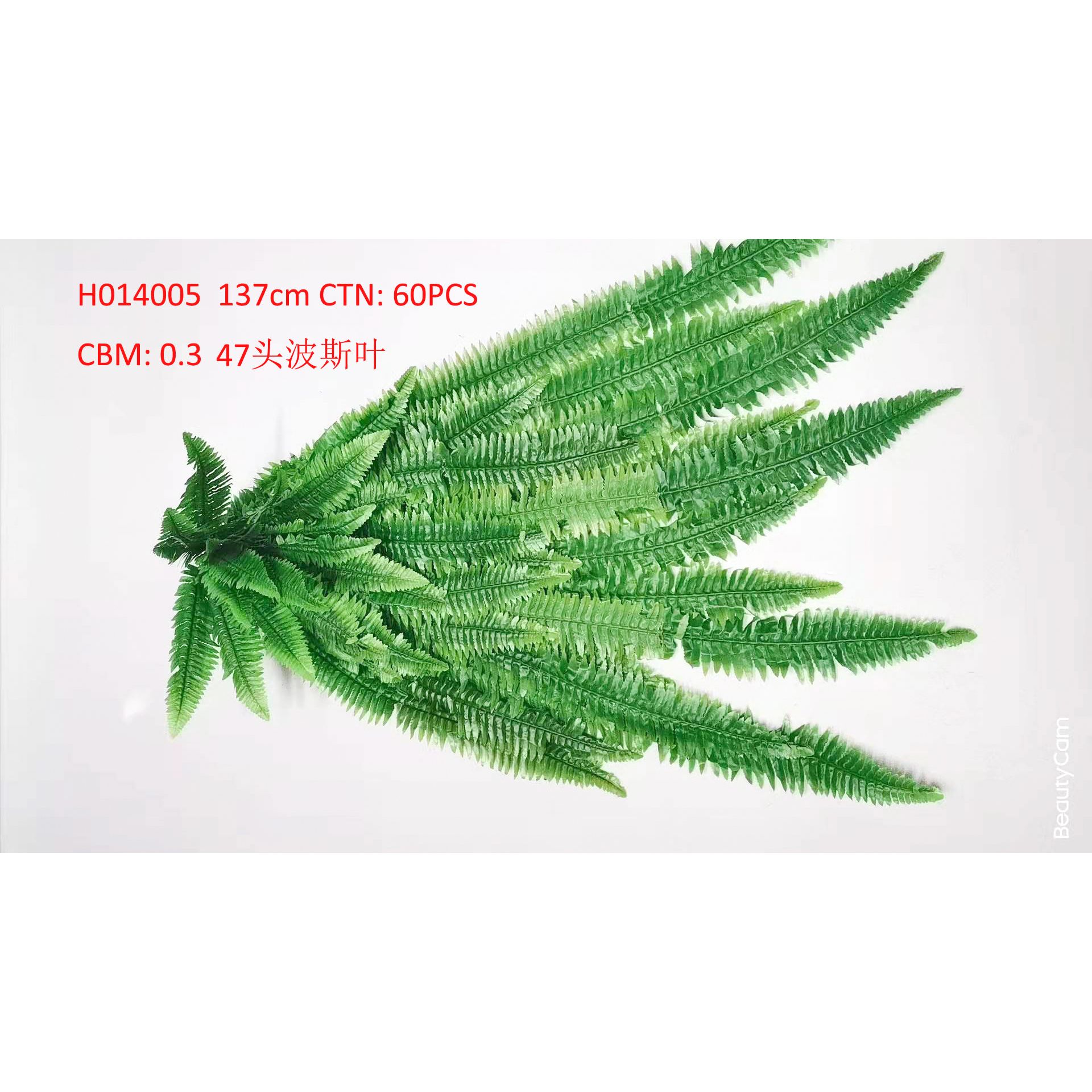 47 Head Persian leaf H014005