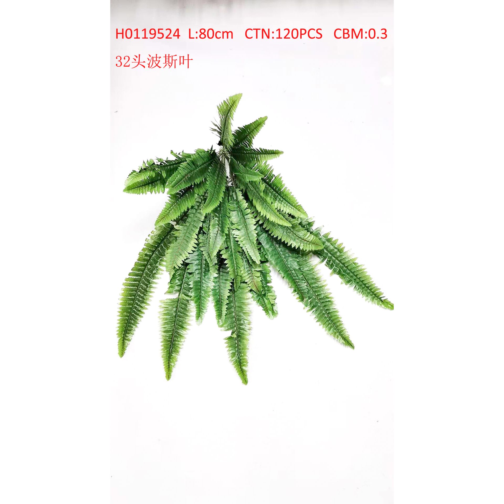 32 head Persian leaf H0119524