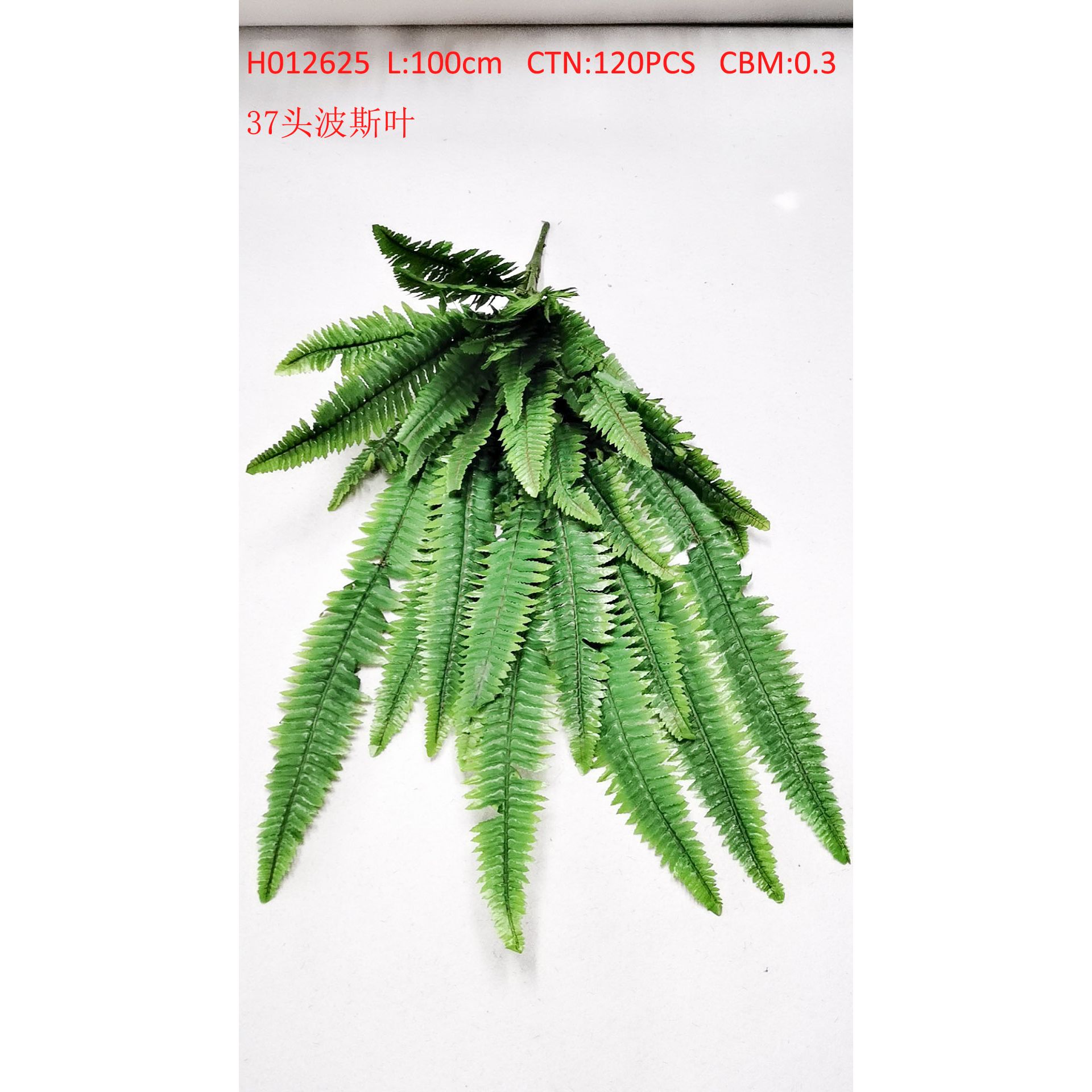 37 Head Persian leaves H012625