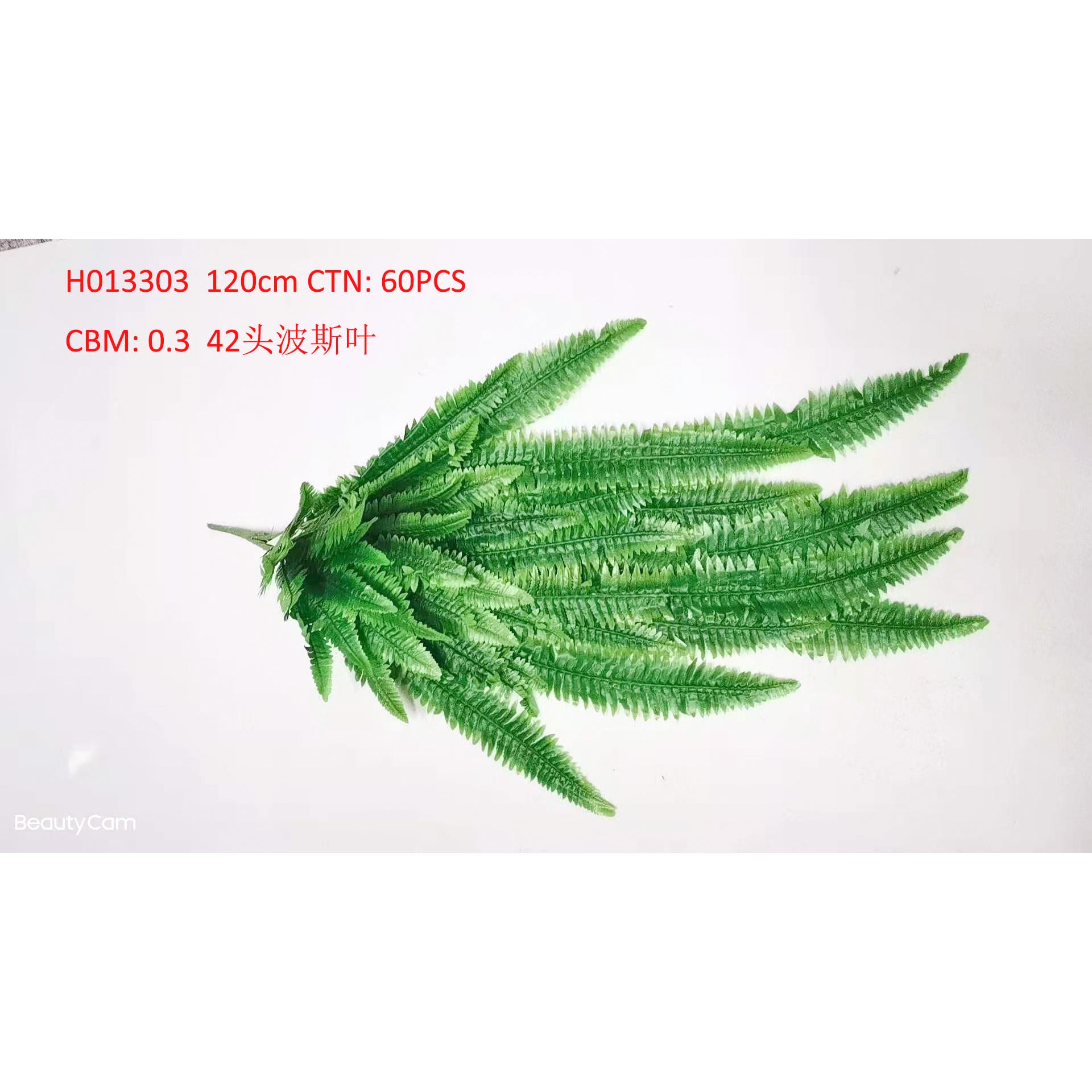 42 Bosse leaves H013303