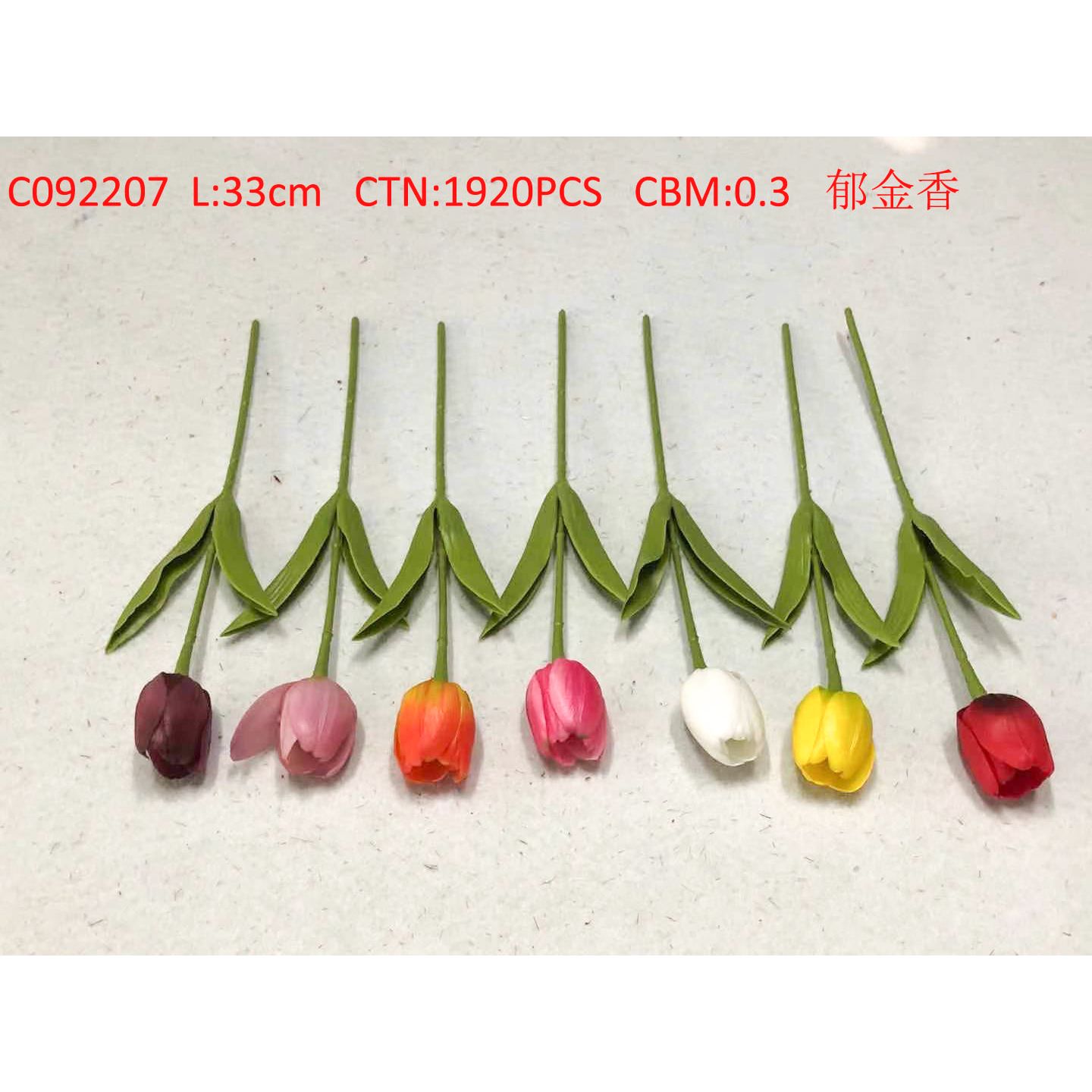 Tulip C092207