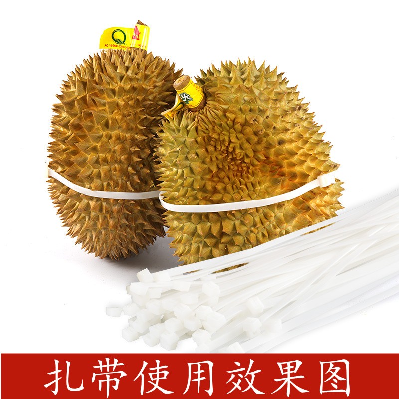 Free shipping durian cable ties 5*600 self-locking nylon cable ties, 4.8mm width, 250 pieces per pack, 40 packs per piece, binding diameter 175mm detail image 4