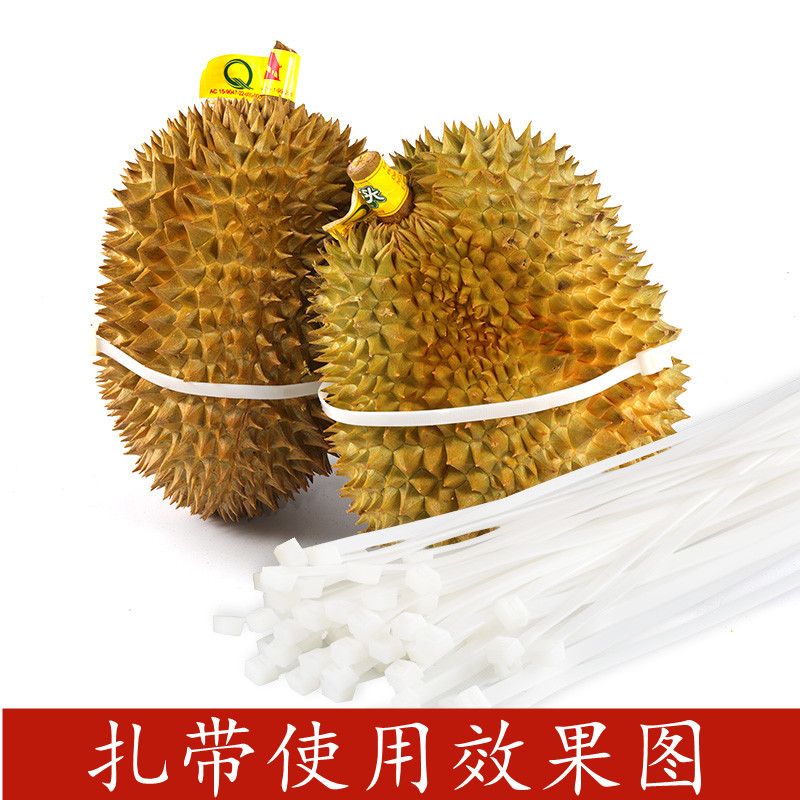 Free shipping durian cable ties 5*600 self-locking nylon cable ties, 4.8mm width, 250 pieces per pack, 40 packs per piece, binding diameter 175mm Application Scenario