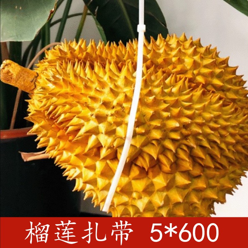 Free shipping durian cable ties 5*600 self-locking nylon cable ties, 4.8mm width, 250 pieces per pack, 40 packs per piece, binding diameter 175mm detail image 6