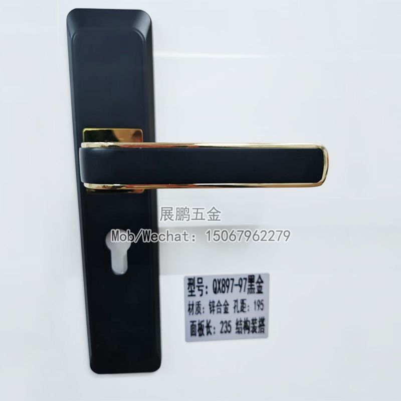 New Door Lock Modern Simple Design Zinc Alloy Wood Door Interior Door Lock Application Scenario