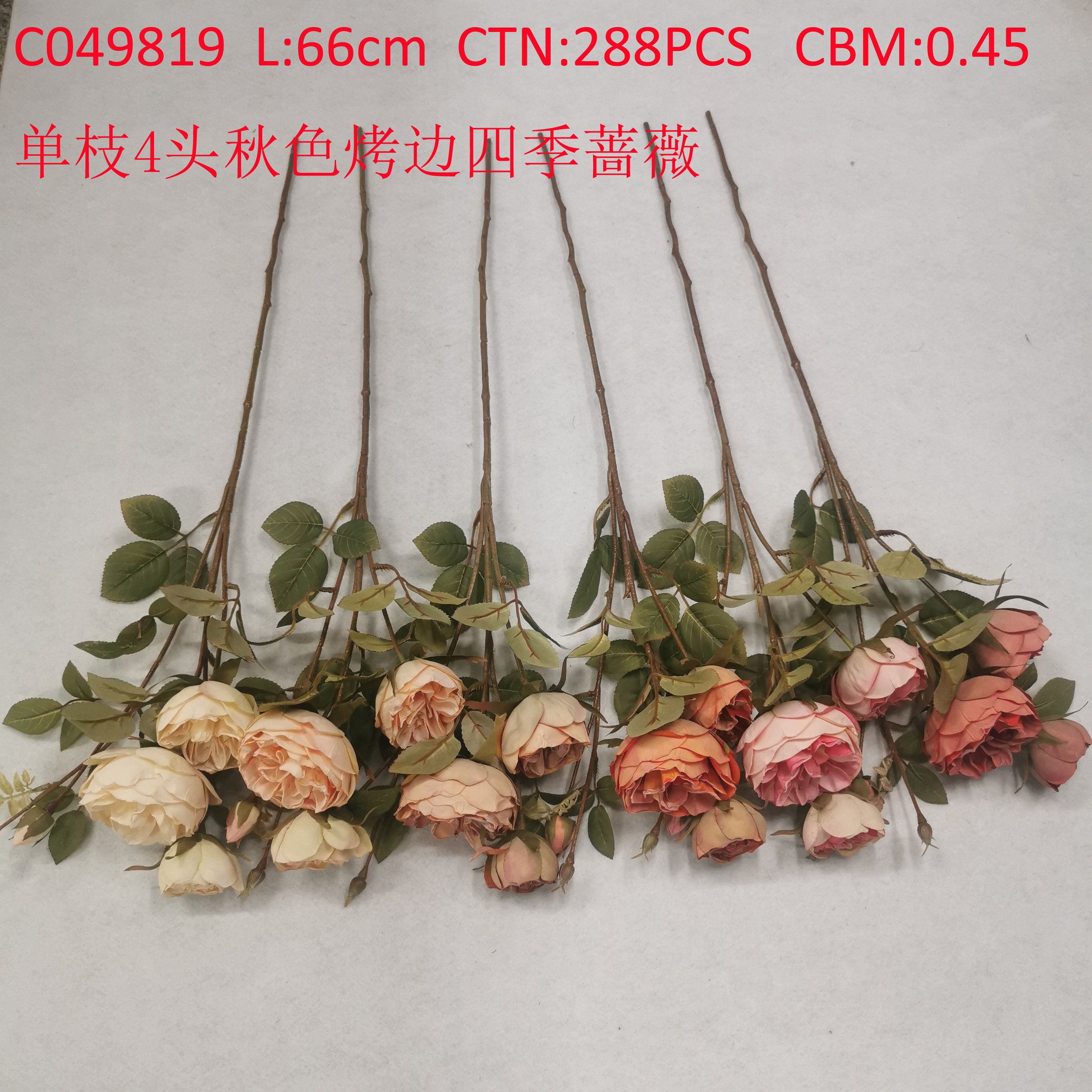 单枝4头秋色烤边四季蔷薇 C049819