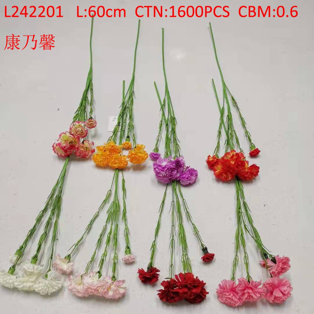 Carnation L242201
