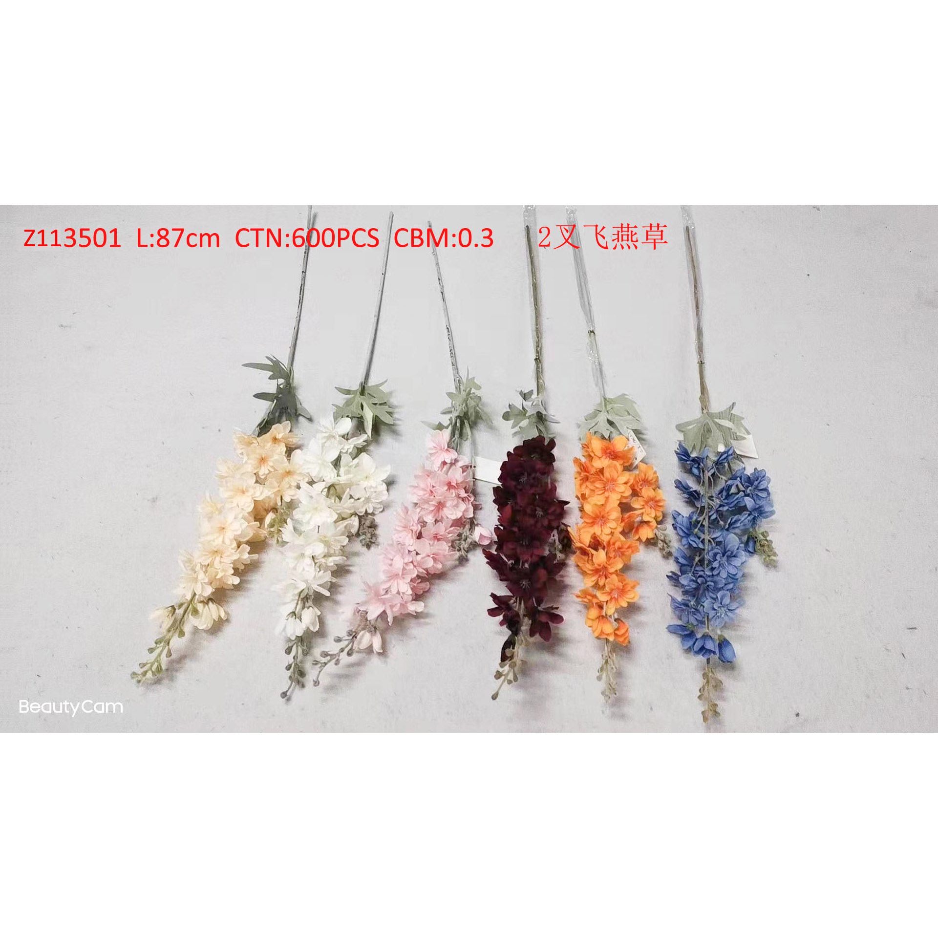 2 forks Delphinium Z113501